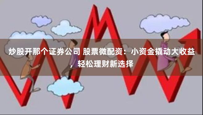 炒股开那个证券公司 股票微配资：小资金撬动大收益，轻松理财新选择